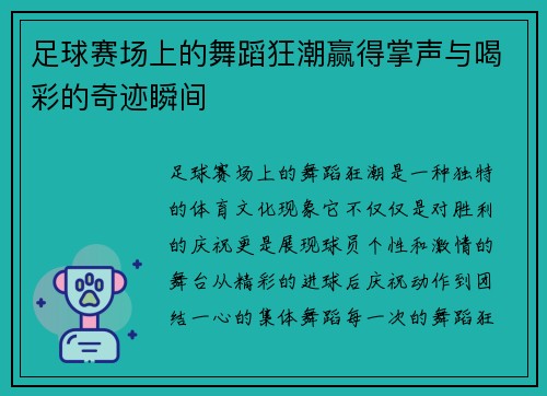 足球赛场上的舞蹈狂潮赢得掌声与喝彩的奇迹瞬间