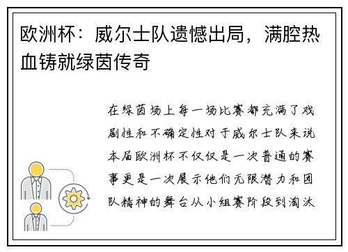 欧洲杯：威尔士队遗憾出局，满腔热血铸就绿茵传奇