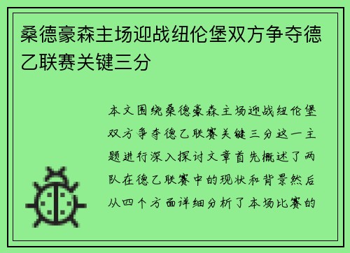 桑德豪森主场迎战纽伦堡双方争夺德乙联赛关键三分